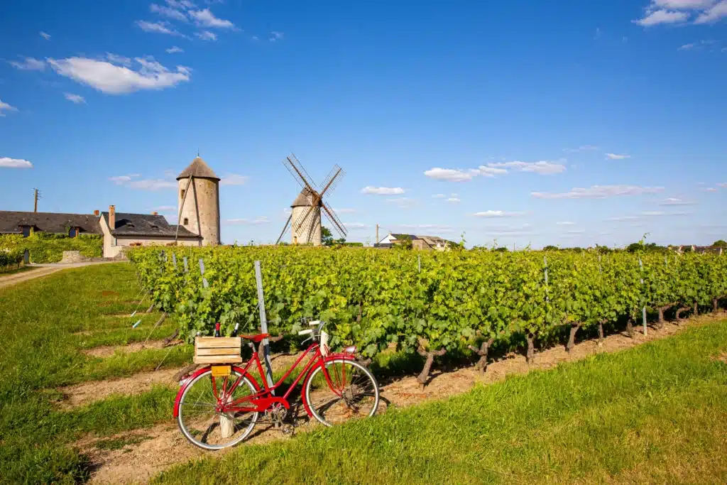 Paysage d'un vignoble ensoleillé avec un moulin traditionnel et un vélo rouge, symbolisant la tranquillité et l'authenticité d'un séjour en gîte en Anjou.